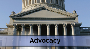 Advocacy blue